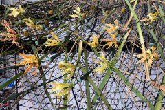 Blomsterinstallation-1.1