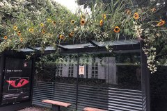 Blomsterinstallation-3