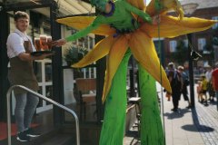 Flower-Power-2