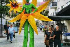 Flower-Power-4
