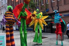 Flower-Power-6